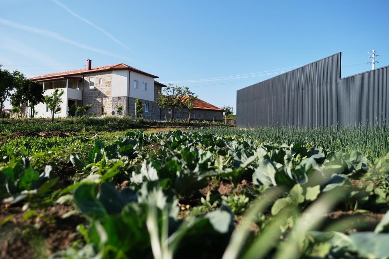 Aldeia Da Quinta Do Paco Villa Santo Tirso Exterior photo
